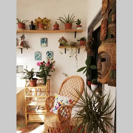 Bamboo House Apartamento *